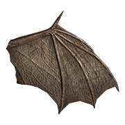 Bat Wing — Dark and Darker