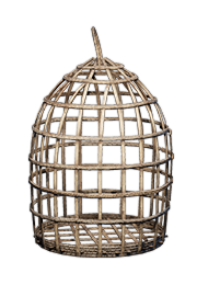 Birdcage — Dark and Darker