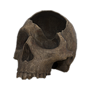 Broken Skull — Dark and Darker