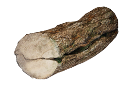 Cracked Log — Dark and Darker