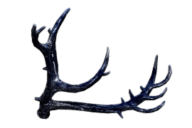 Crown of the Midnight Stag — Dark and Darker