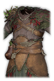 Darkgrove Robe — Dark and Darker
