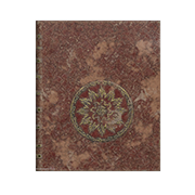 Diary of the Toz — Dark and Darker