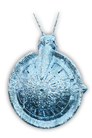 Frostlight Lantern Shield — Dark and Darker