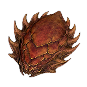Hard Crab Shell — Dark and Darker