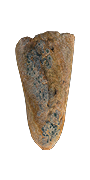Moldy Bread — Dark and Darker