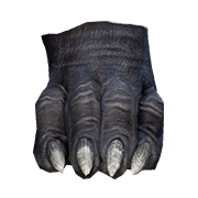 Thick Forefoot — Dark and Darker