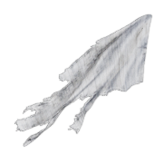 Torn Sail — Dark and Darker